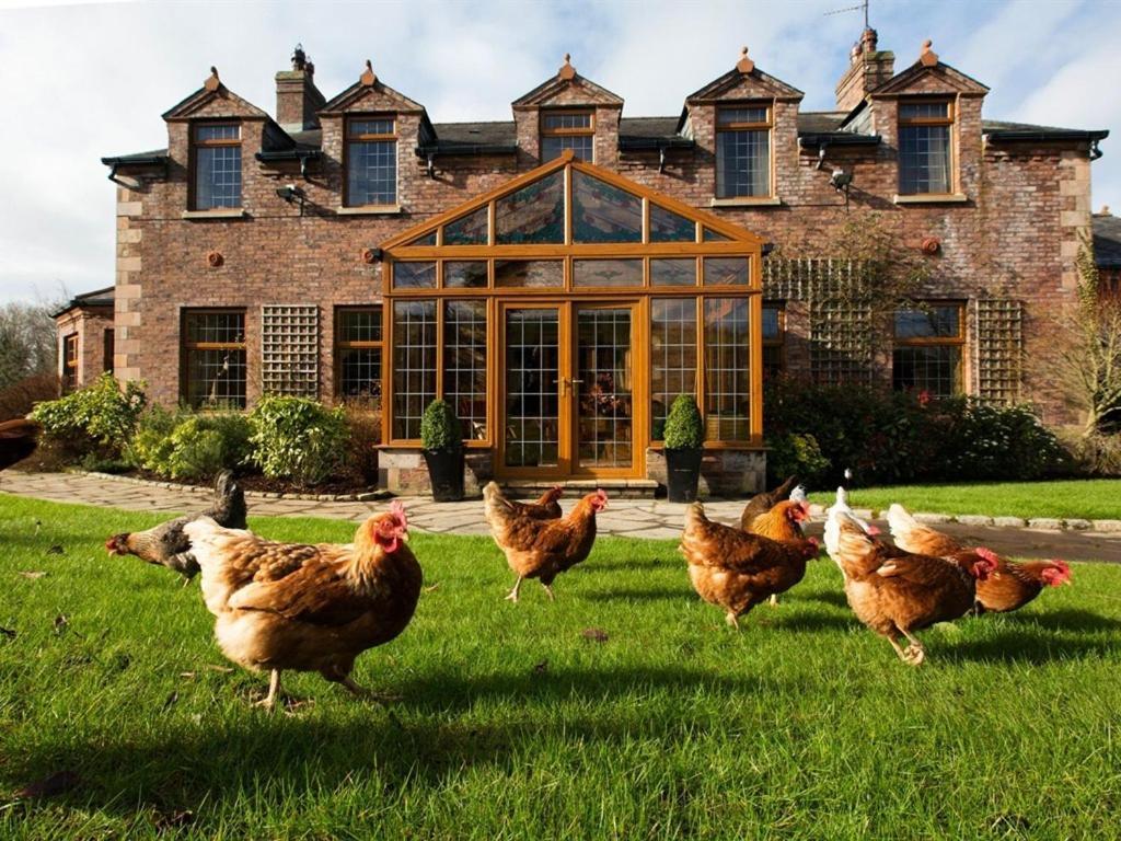 Blackwell House Banbridge Exterior photo
